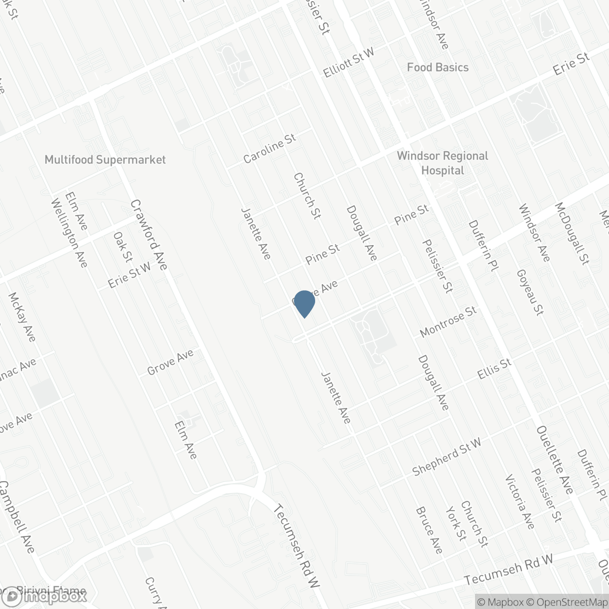 559 GROVE, Windsor, Ontario N9A 6G5